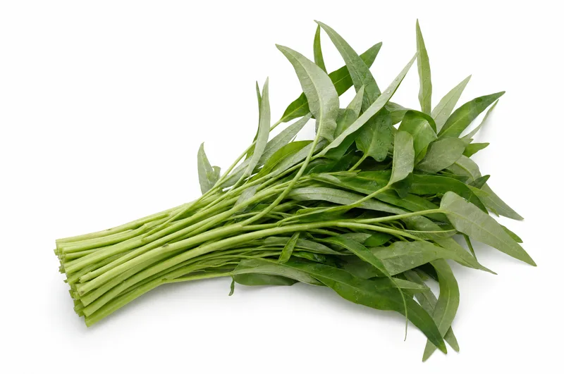 Water Spinach (Kangkong)