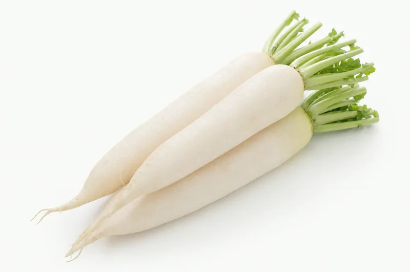 White Radish (Labanos)