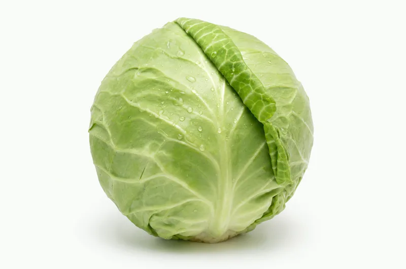 Cabbage (Repolyo)